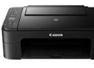 Canon Pixma TS3166 Drivers Download